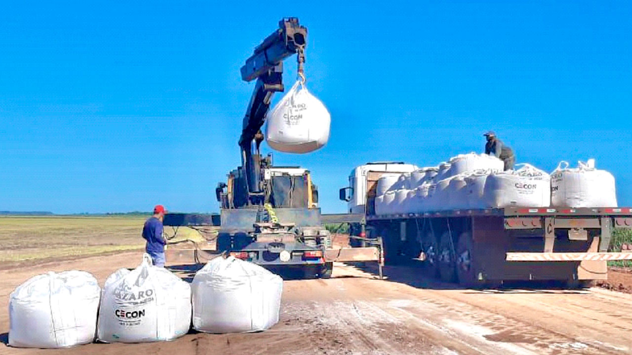 Beneficios de la cal en la agricultura